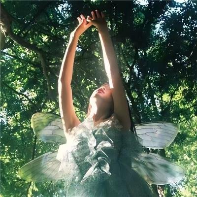 胡桃夹子和魔笛公主